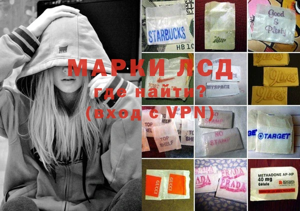 индика Балахна