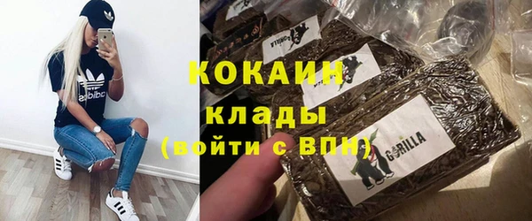 индика Балахна