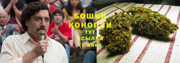 индика Балахна