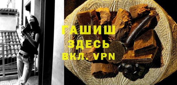 индика Балахна