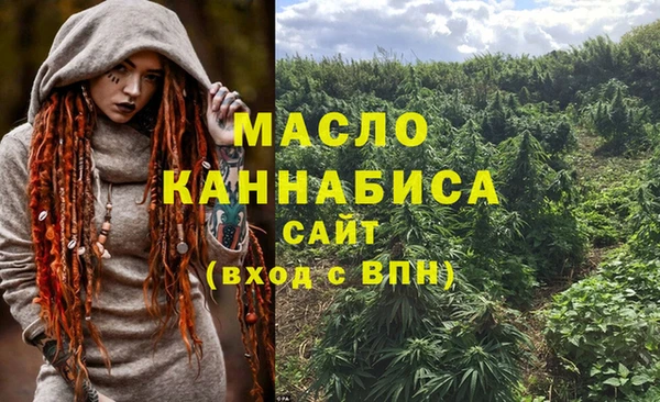 индика Балахна