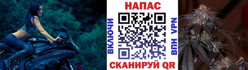 купить наркотики сайты  Озёры  Канабис SATIVA & INDICA 